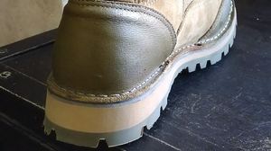 DSC_0350DANNER (9).JPG